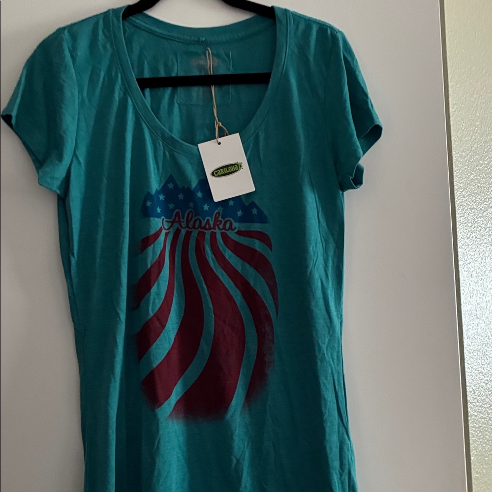 NWT Teal Alaska Graphic Tee